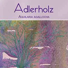 Adlerholz – Aquilaria s.s.p.